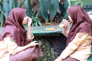 Data Siswa Lolos SNMPTN 2020 Terus Bertambah