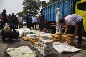 BNN Sita 500 Kg Ganja Ditimbun Pisang di Bekasi