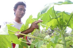 Warga Bekasi Klaim Temukan Obat Covid-19