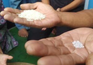 Lagi, Ditemukan Biji Plastik di Beras Bantuan