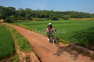 BLPBJ Mulai Terapkan Sistem E-Katalog