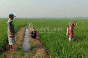 Petani Merasa Kurang Diperhatikan