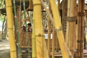 Awasi Alih Fungsi RTH