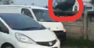 VIRAL!!! Penumpang Gran Max Buang Sampah ke Kalimalang