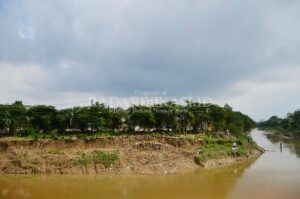 Normalisasi Tunggu Lelang