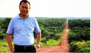 Porang Kultur Jaringan