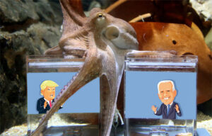 Survei Tekanan Sosial