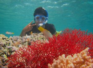 Hilangkan Bosan dengan Traveling