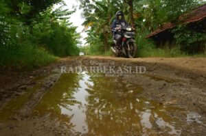 Pendapatan Daerah Dipastikan Turun