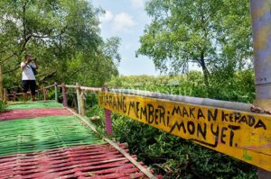 Anggaran Besar, Program Tak Berjalan