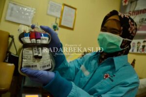 Plasma Konvalesen belum Tersedia