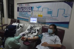 Satu Pendonor Bisa Menyelamatkan Tiga Pasien