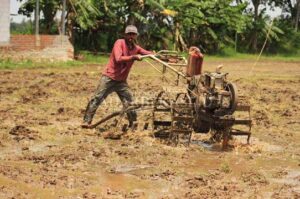 Bulog Diminta Turun ke Petani
