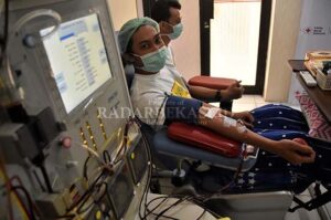 Wacanakan Kompensasi Pendonor Plasma Konvalesen