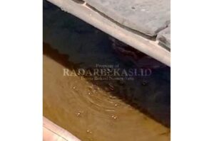 Lubang Bekas Galian Sumur Kembali Semburkan Gas