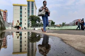 DPRD Singgung Anggaran Penanganan DBD