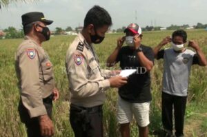 Pulang Mudik, Ratusan Petani Jalani Tes Swab