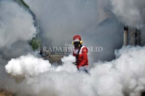 Cegah Peningkatan Kasus DBD