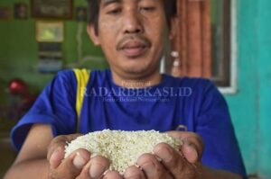 Kejari Investigasi Bansos Beras