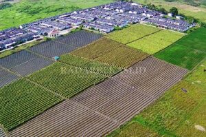 Pemkab Minta Direvisi Perda RTRW