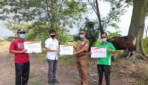 CCEP Indonesia Serahkan Hewan Kurban ke Masyarakat dengan Prokes