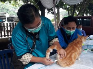 World Rabies Day, Pemkot Bekasi Berikan Vaksin Gratis Untuk Hewan Peliharaan