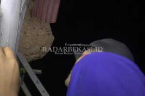 Evakuasi Sarang Tawon Vespa Affinis Hanya 10 Menit