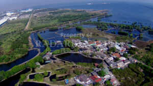 Foto: Melongok Kampung Nelayan Kerang Hijau