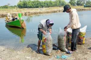 Nelayan Kerang Hijau Keluhkan Pembuangan Limbah