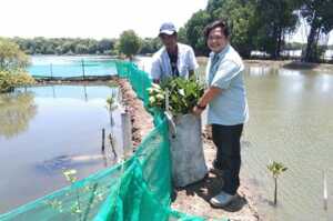 PT Fajar Paper Berikan Bantuan Bibit Mangrove