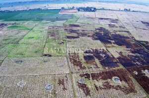 Ratusan Hektar Sawah di 23 Desa Kekeringan