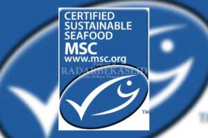 Seleksi Ocean Stewardship Fund  Marine Stewardship Council  Dibuka