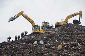 Siapkan Lima Hektare Lahan