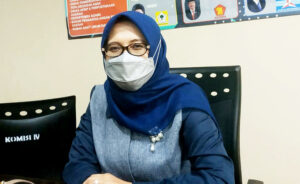 Evi Mafriningsiati, Wakil Rakyat Perempuan dengan Segudang Pengalaman