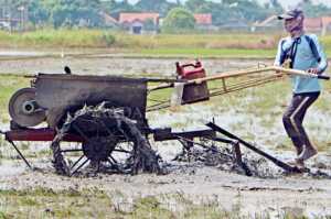 LP2B Tak Masuk Propemperda
