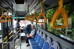 Kaji Progres Transpatriot