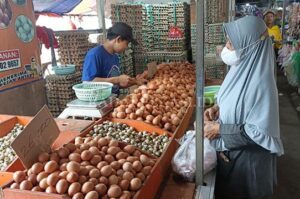Harga Belum Stabil