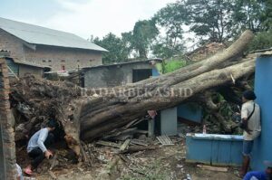 Puting Beliung Rusak Rumah dan Masjid