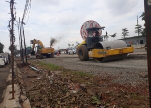 Kadis LH: Penebangan Pohon di Jalan M Hasibuan Ilegal