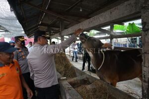Kapolres Pastikan Hewan Ternak Aman dari PMK