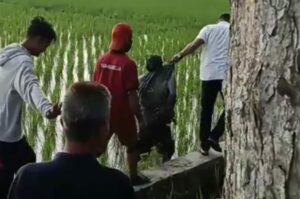 Terduga Pelaku Curanmor Ditangkap Warga di Sawah