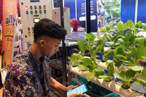 Manfaatkan IT Berkebun Hidroponik