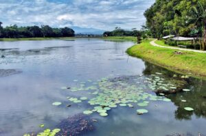 Sembilan Situ Terjadi Penyusutan