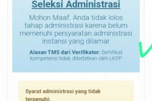 50 Persen Honorer K2 Daftar PPPK Teknis Tumbang, Ini Masalahnya