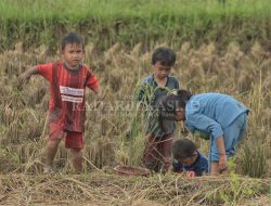 Stunting Masih jadi Perhatian Pemkab Bekasi