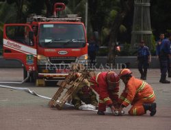 Permintaan Evakuasi Hewan Mendominasi