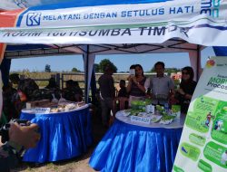 Dibantu Modal BRI, Tukang Ojek di NTT Sukses jadi Pengusaha Kelor hingga Beli Mobil   
