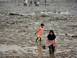 Warga Manfaatkan Cari Kerang di Situ Burangkeng