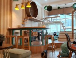 Daftar Cat Cafe di Bekasi