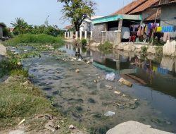 Kali Gempar Babelan Kian Dangkal dan Penuh Sampah, Begini Harapan Warga ke Pemkab Bekasi